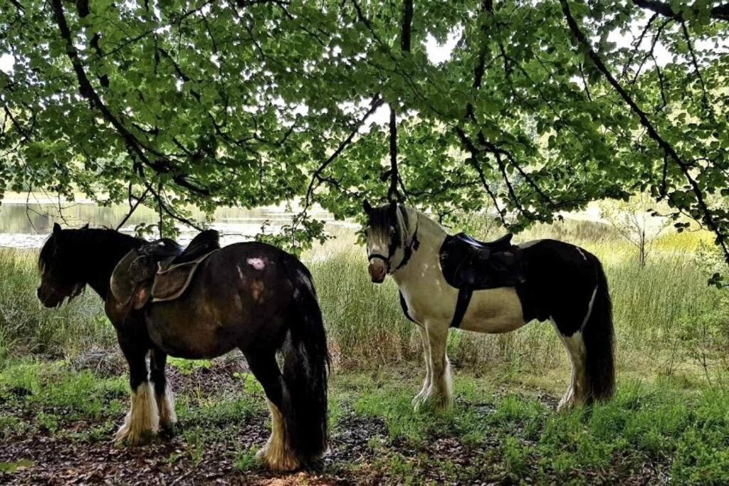 Les Vergers D'Epona "Fremifontaine Vosges" Εξωτερικό φωτογραφία