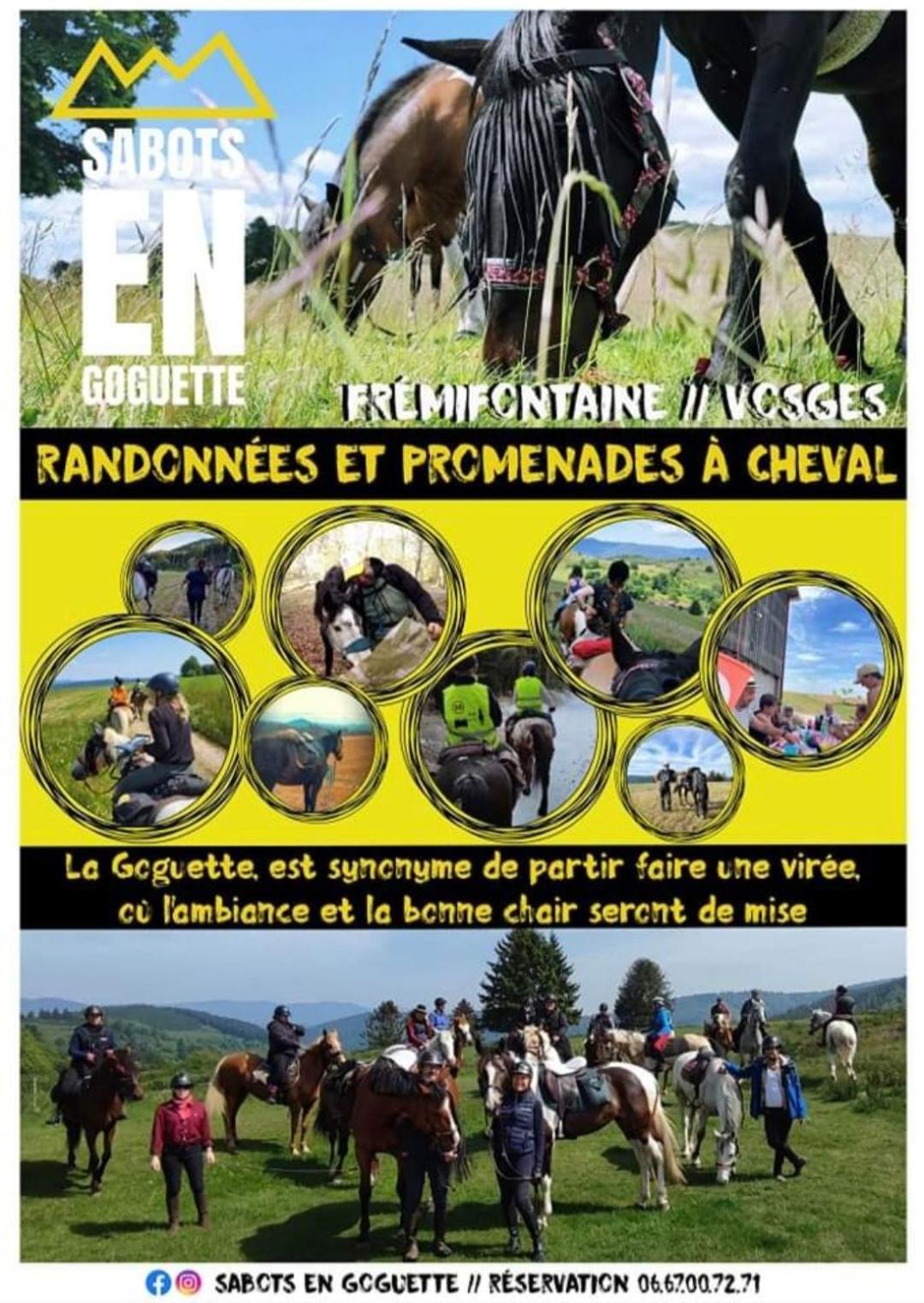 Les Vergers D'Epona "Fremifontaine Vosges" Εξωτερικό φωτογραφία